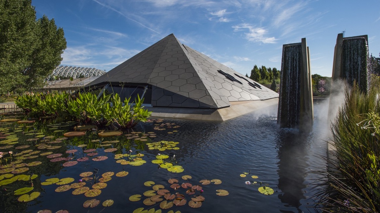 Denver Botanic Gardens: the Power of Flowers