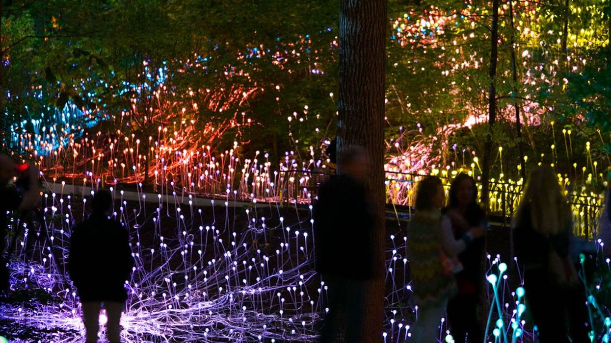 Museums as Change Agents? The AAM Meeting & Expo 2015