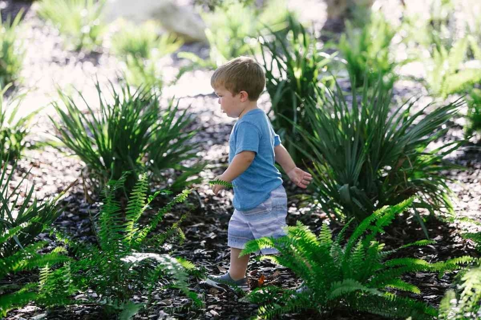 Fern-tastic! Hammock Hollow Children's Garden at Bok Tower Gardens