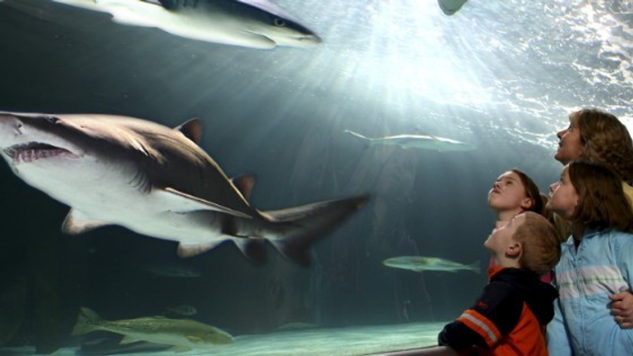 Merlin Entertainments' Glenn Earlam on "Brands with Unlimited Potential"