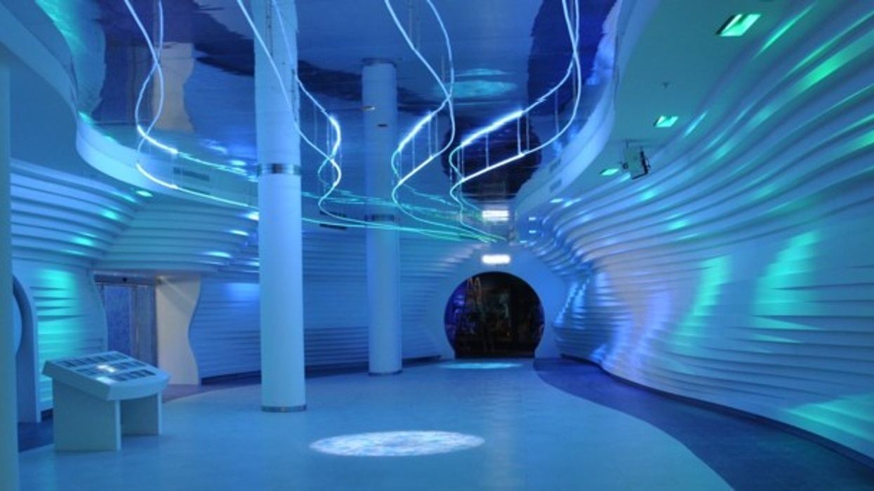 OBE for Colin Pyrah, Founder of Paragon Creative, Themed Environment Specialists