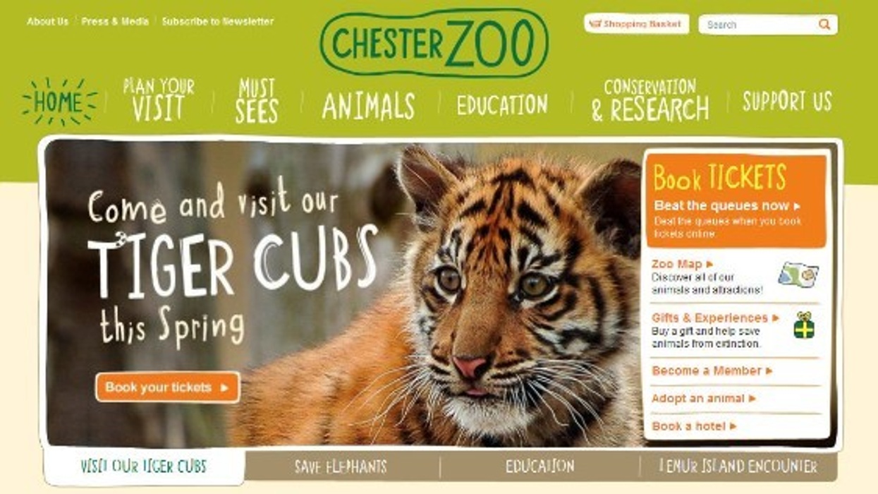 Chester Zoo Launch New Website