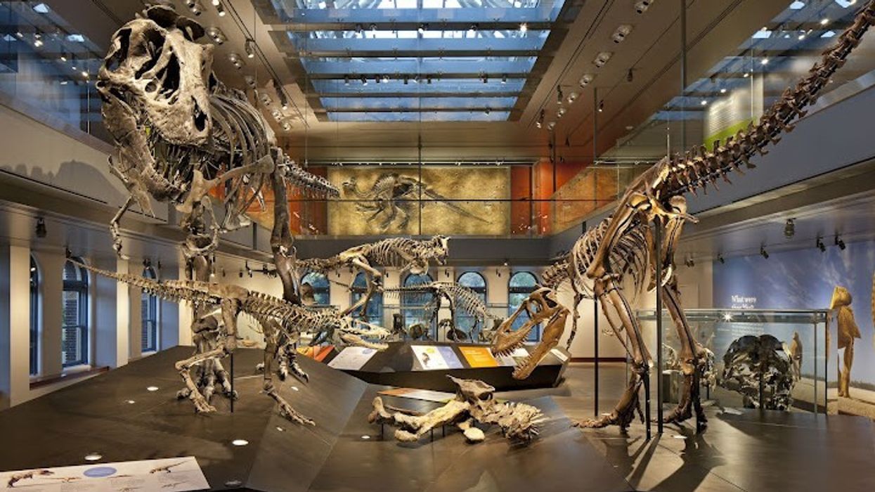 Electrosonic: Interactive Audiovisual Exhibits for LA County’s Natural History Museum Dinosaur Hall