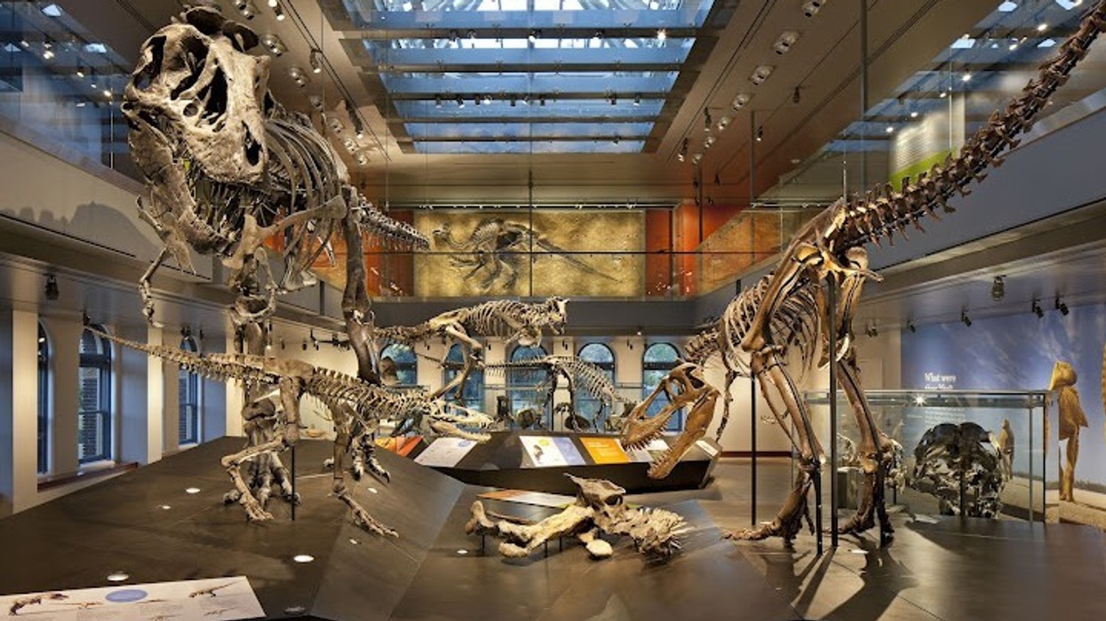 American Alliance of Museums: Annual Meeting and Expo 2017