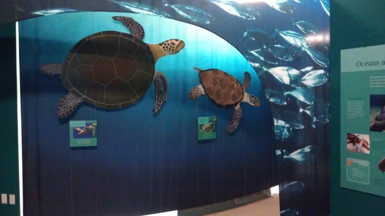 Alcorn McBride Supply Video, Audio and Show Control at the Conservancy of Southwest Florida