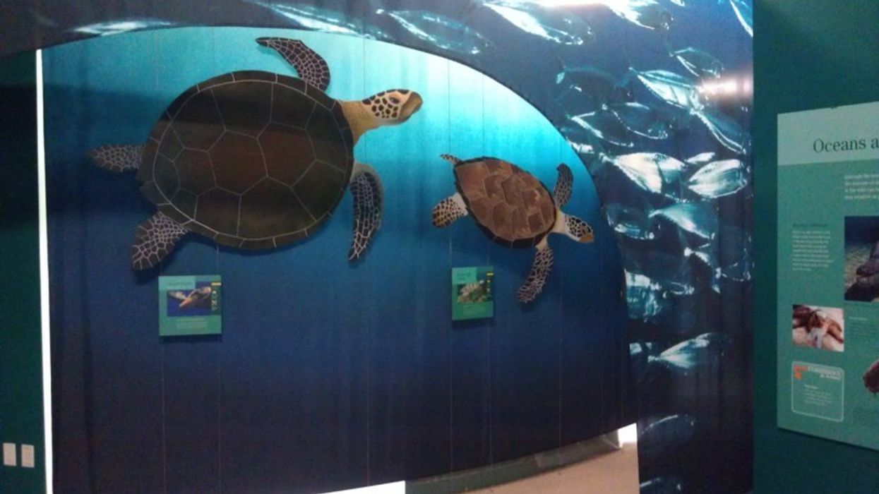 Alcorn McBride Supply Video,  Audio and Show Control at the Conservancy of Southwest Florida