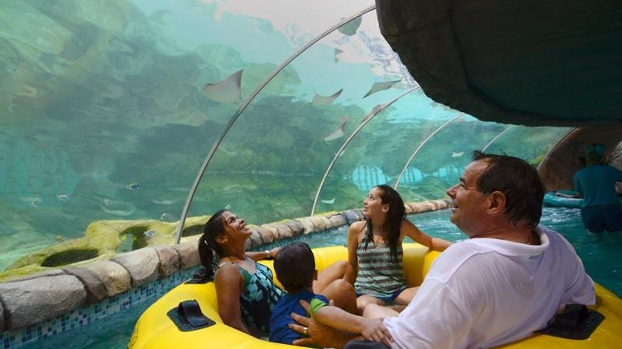 ProSlide’s New Feature Waterslides at Sea World San Antonio’s Aquatica Texas