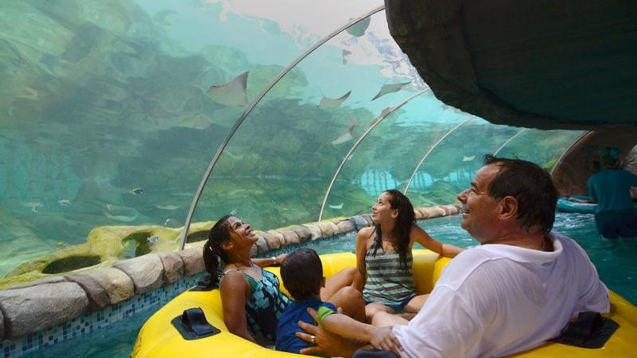 ProSlide’s New Feature Waterslides at Sea World San Antonio’s Aquatica Texas