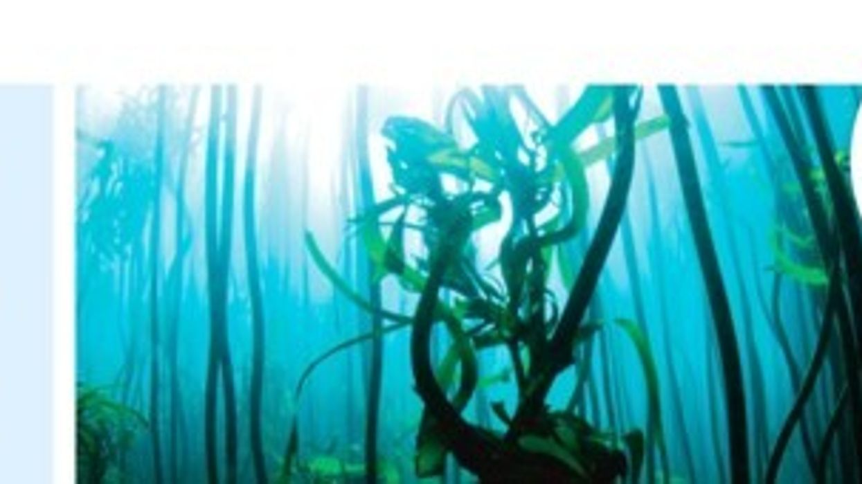 8th International Aquarium Congress Opens