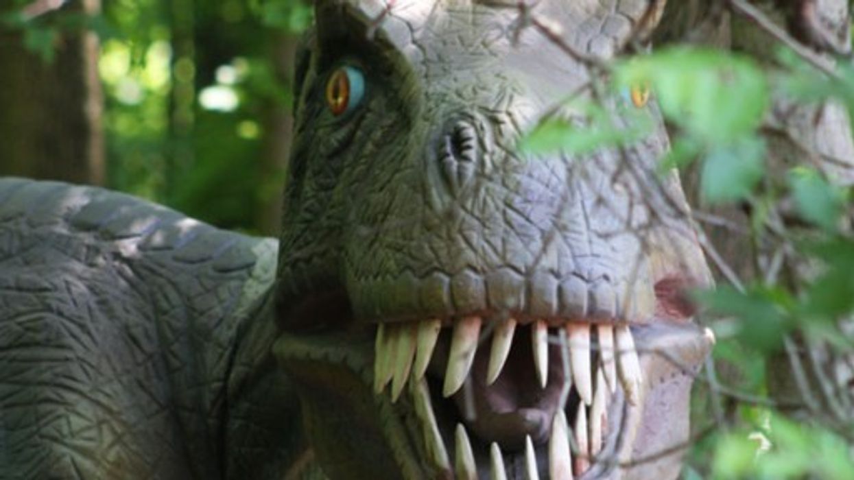 Valleyfair Announces £3.5m Addition for 2013: Dinosaurs Alive!
