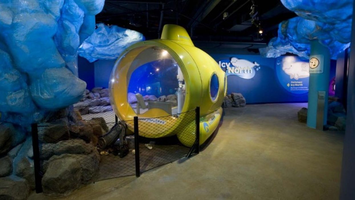 Shedd Aquarium Ranked First as Best Attended in the US