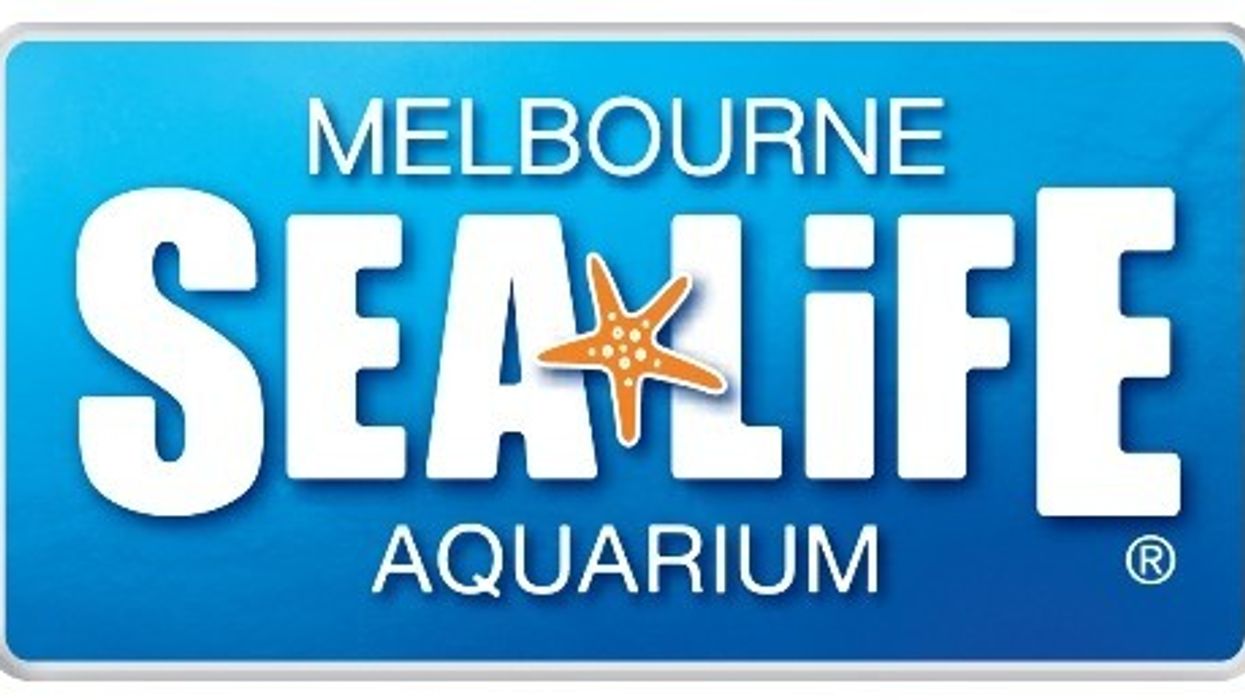 Merlin Entertainments’ SEA LIFE Melbourne Aquarium Announces $8m Refurbishment