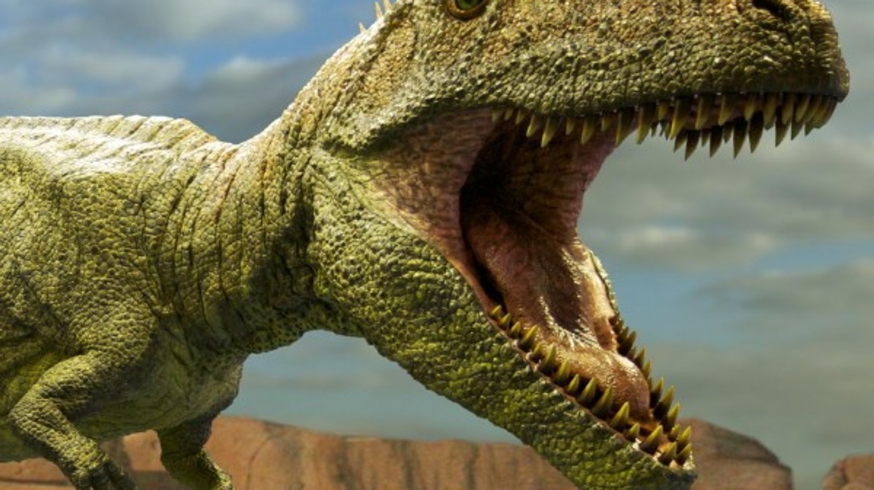 Lazenby Design - Dinosaurs Come Alive at Germany's Gondwana Praehistorium