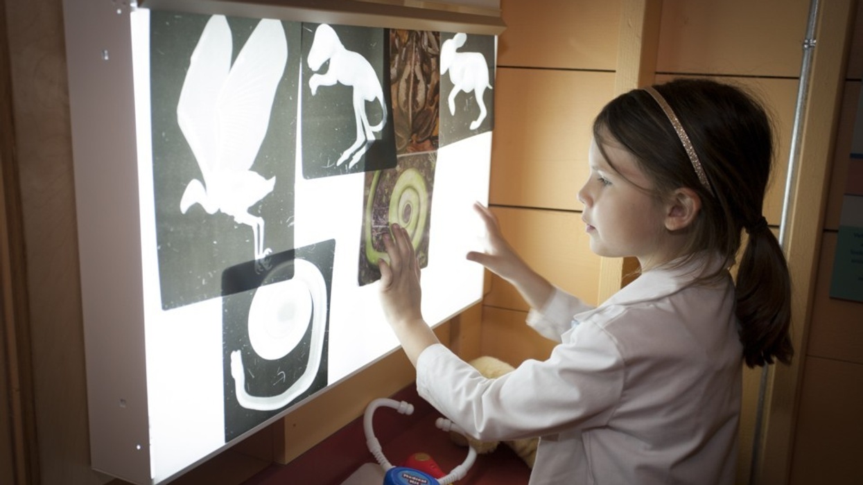 Cultural Capital: Putting a Price on The Impact of Museums