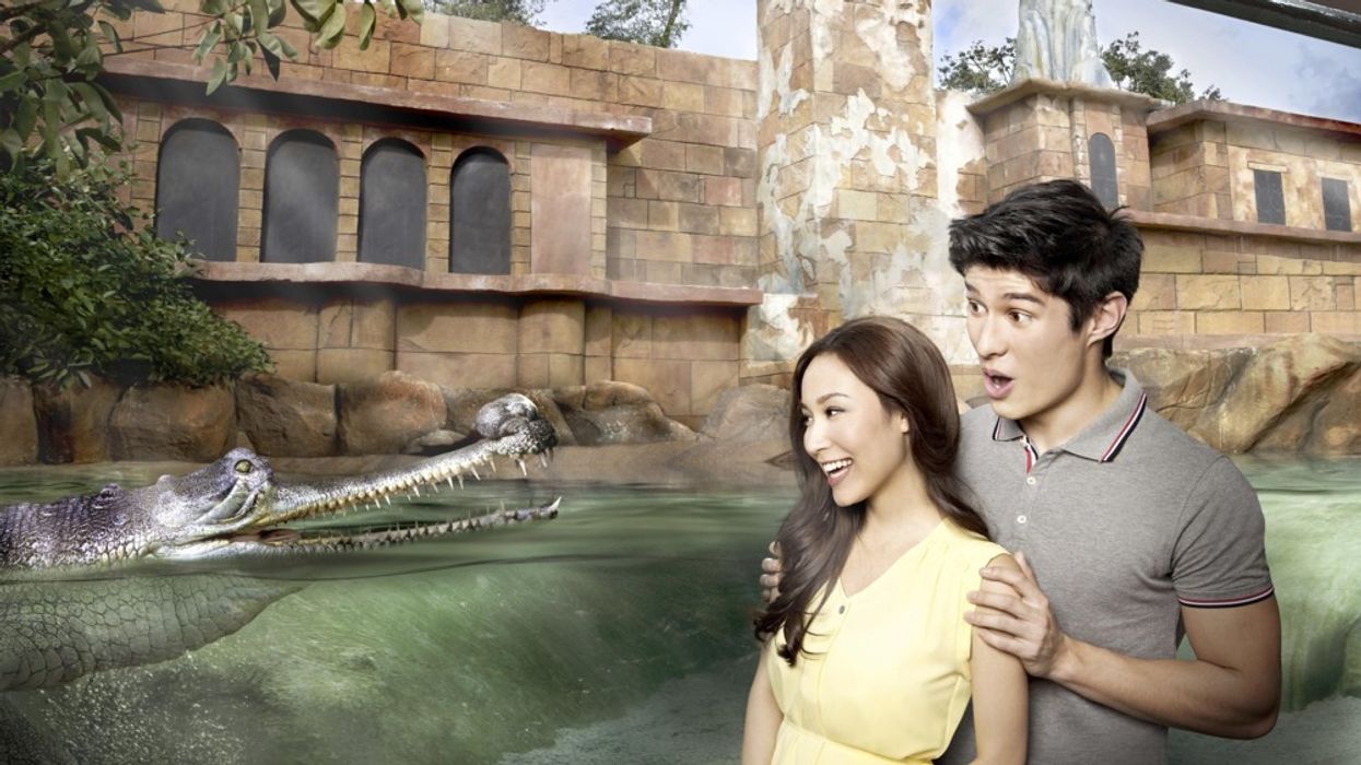 Wildlife Reserves Singapore: River Safari Soft Opening