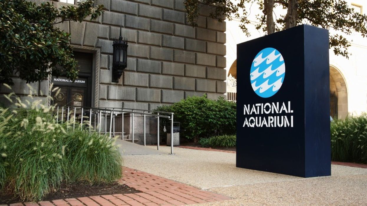National Aquarium Launches Planning Phase for Washington DC Presence