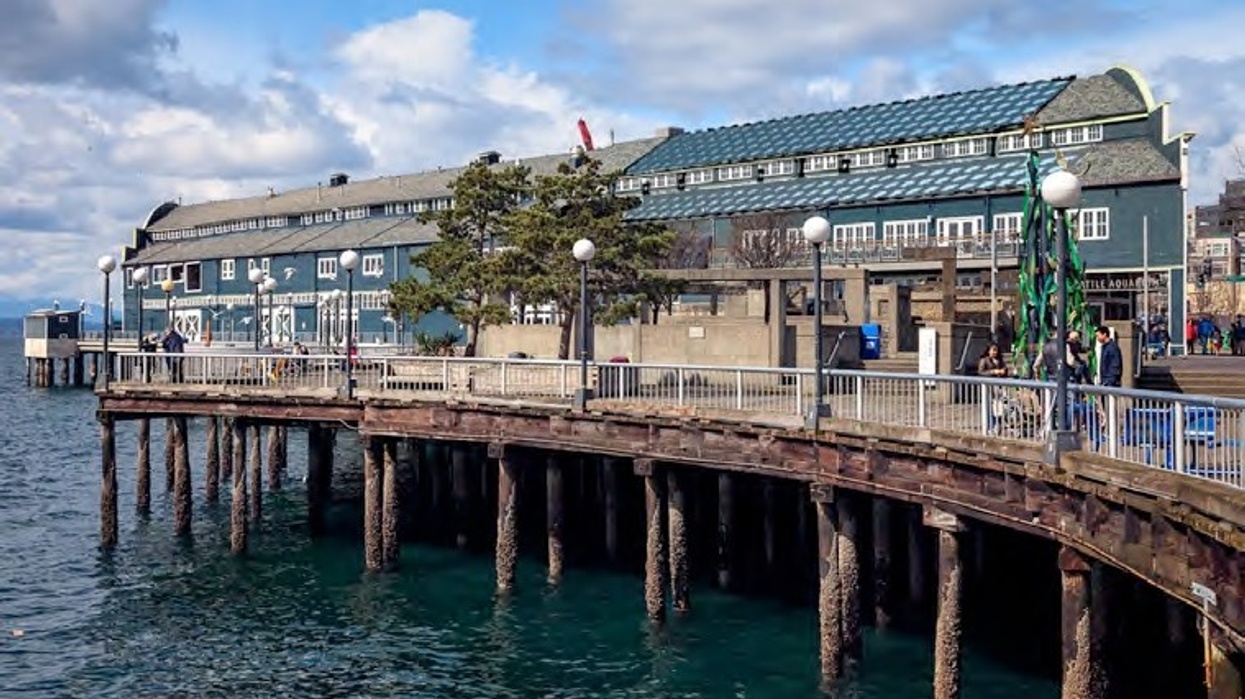 Here Comes the Sun? Seattle Aquarium’s Community Solar Project