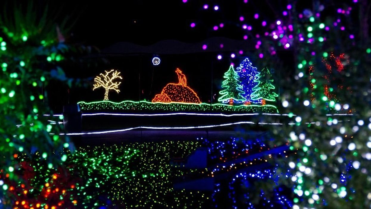 Gateway’s eGalaxy Mobile Web Store Boosts Sales for Point Defiance Zoo & Aquarium’s Zoolights Exhibit