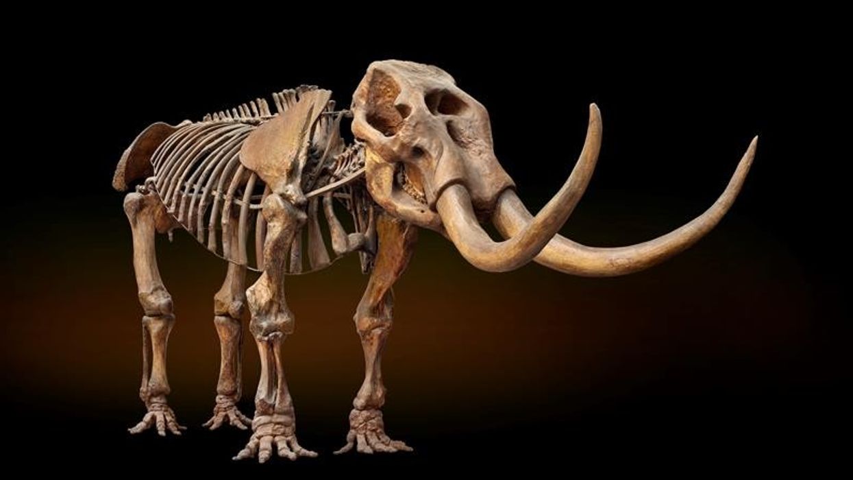 blooloopLIVE, London May 1st: Details of Content Session