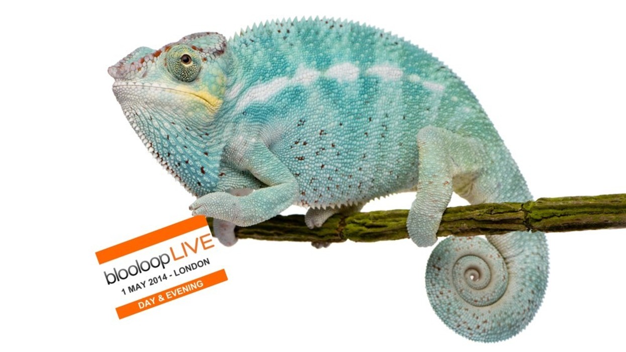 blooloopLIVE: 3 DAYS TO GO!