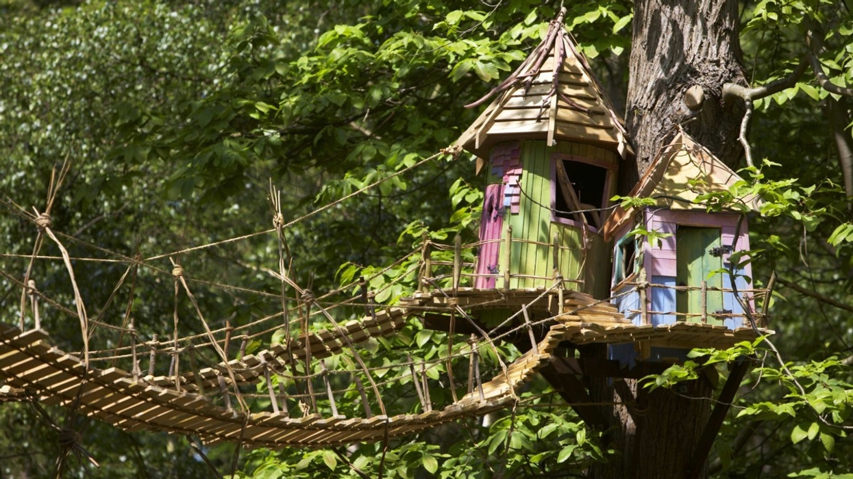 Gateway Implements Galaxy® Ticketing and Access Control at BeWILDerwood, Norfolk