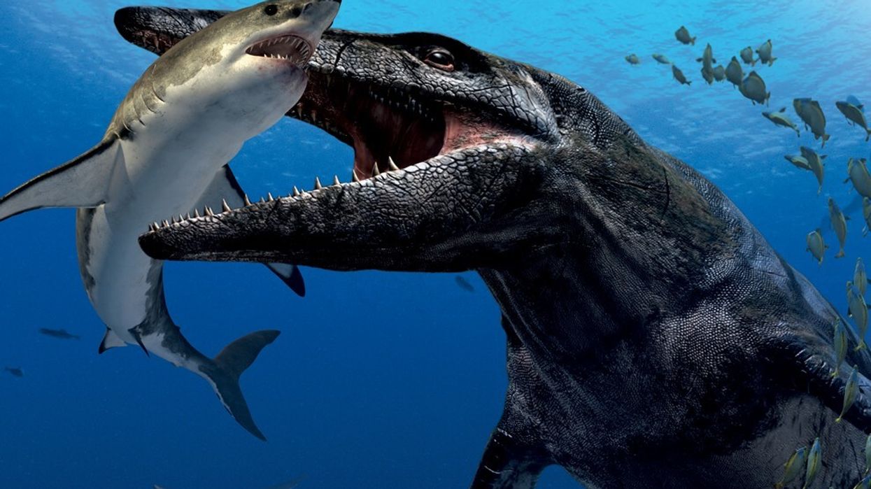 SimEx-Iwerks Partners With BBC and National Geographic for Wildlife 4-D Experiences