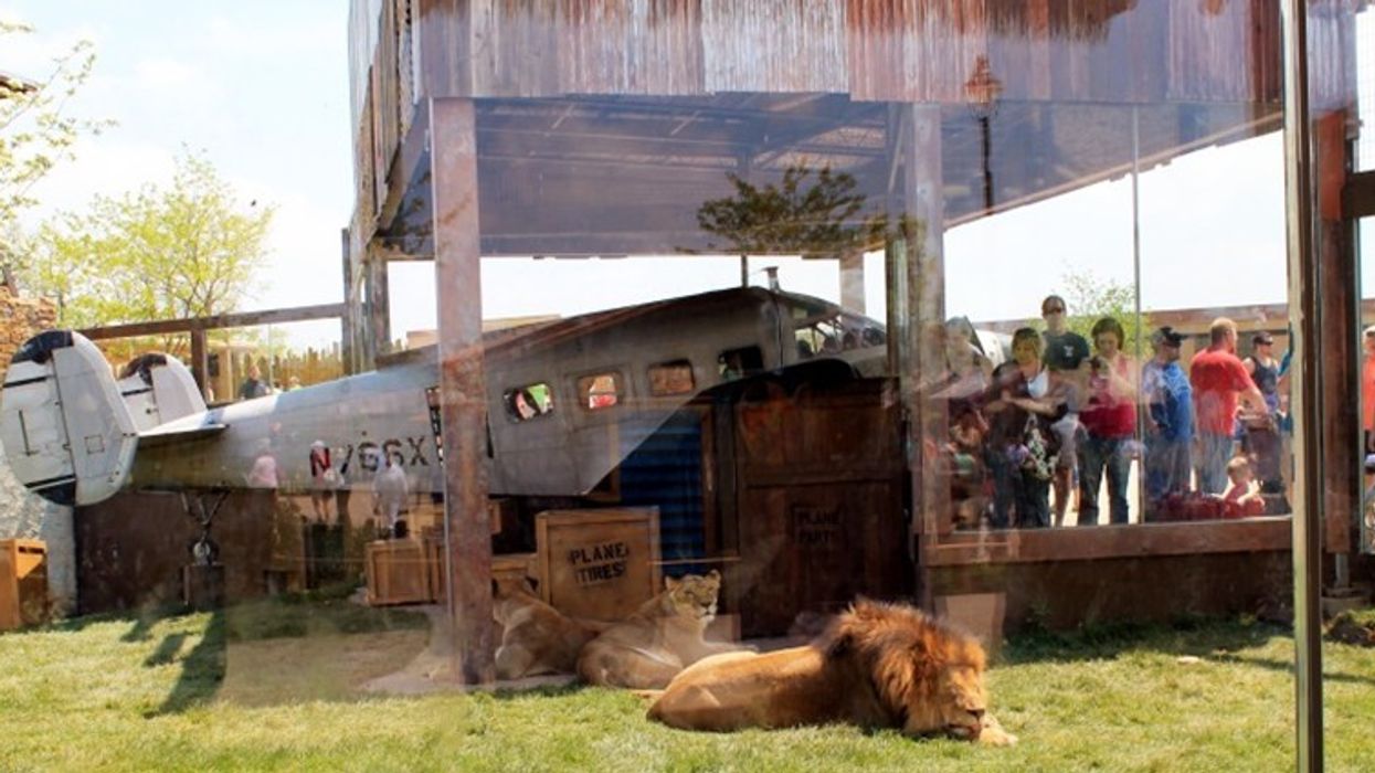 PGAV Destinations: Heart of Africa Exhibit Opens at the Columbus Zoo and Aquarium