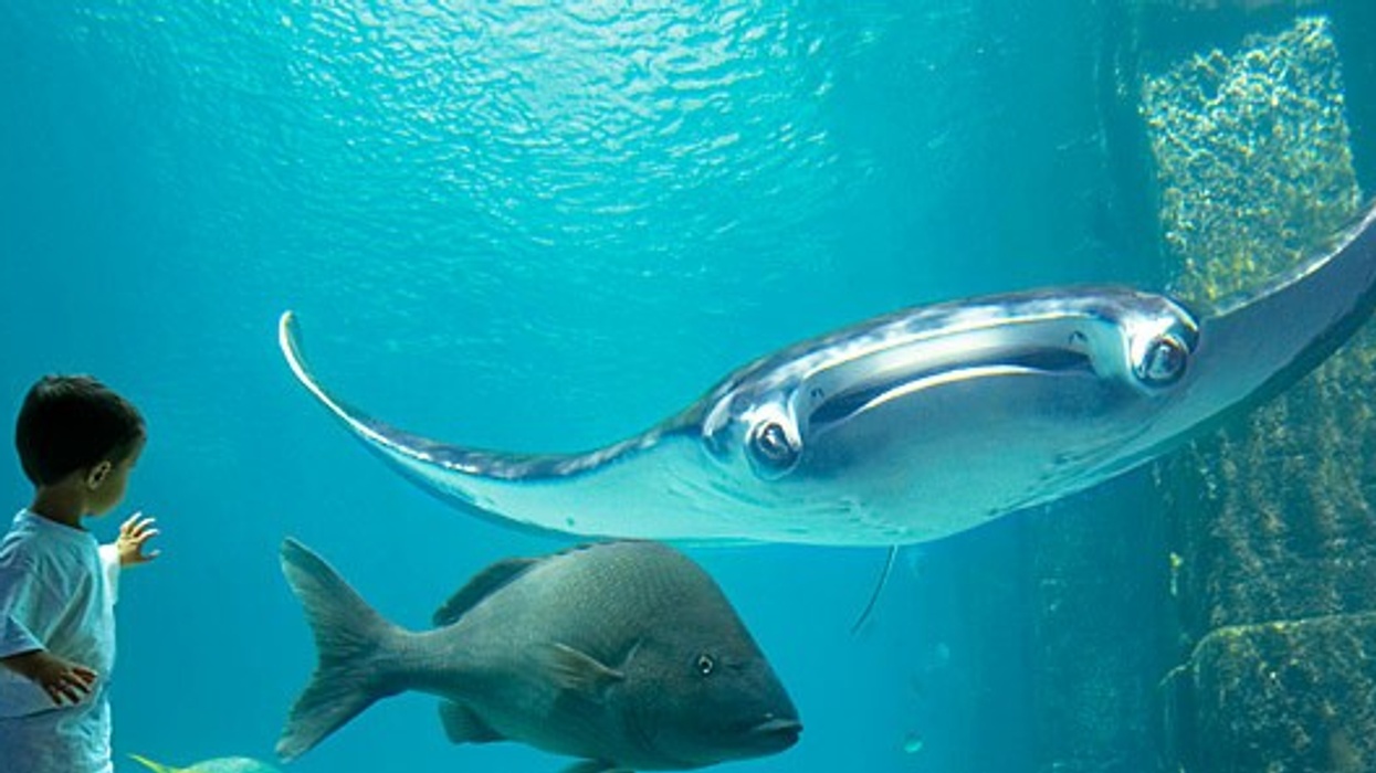 The Quality of Water: The Second Aquality Symposium for Zoos and Aquariums