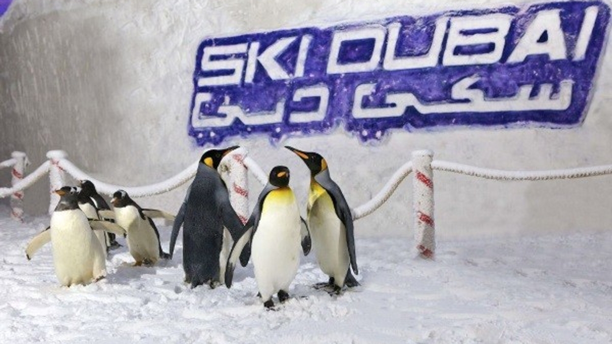 Ski Dubai Selects Gateway Ticketing Systems as New Ticketing Provider