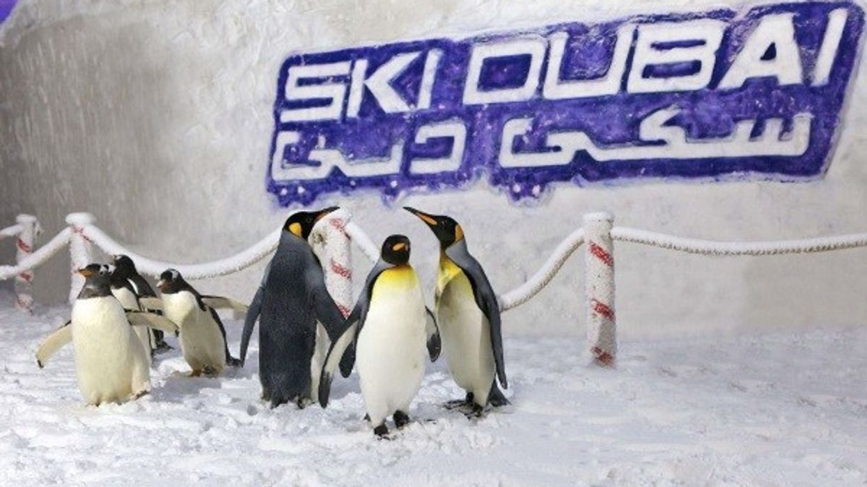 Ski Dubai Selects Gateway Ticketing Systems as New Ticketing Provider