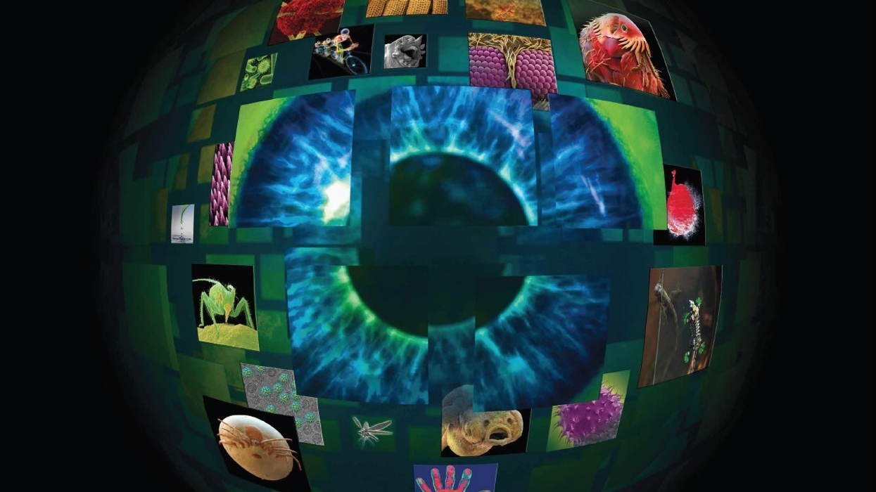 EcoTarium Museum Announces Partnership with National Geographic