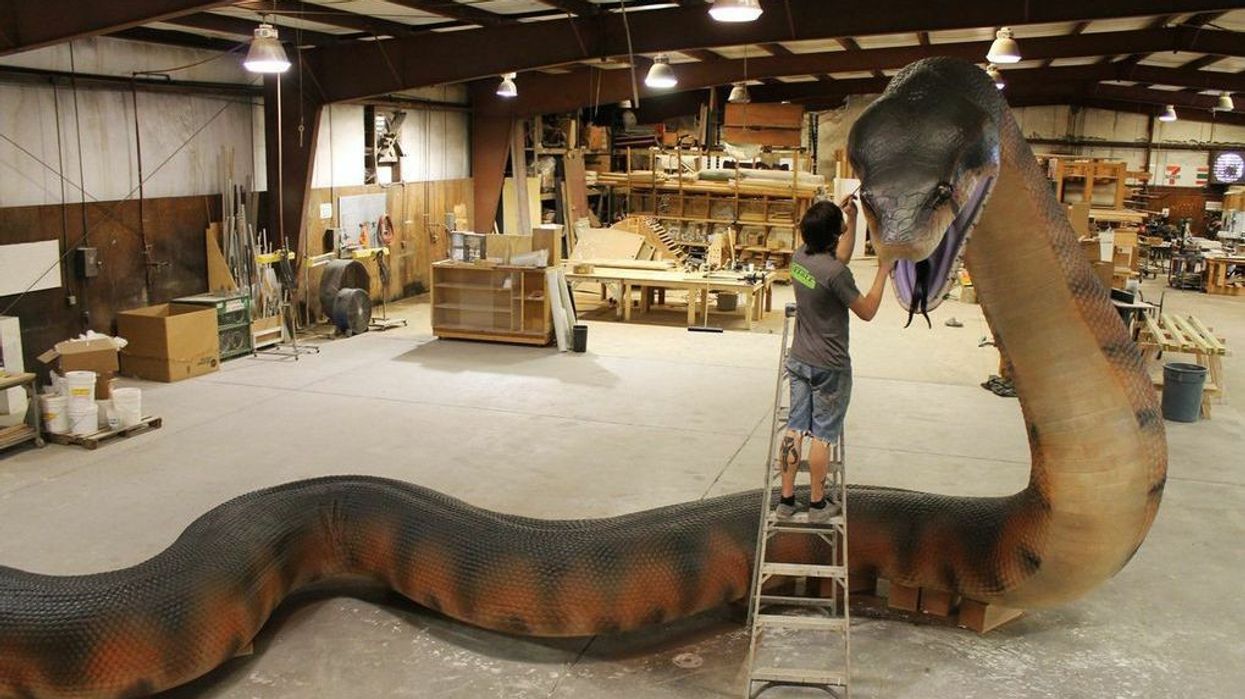 JZG Unveils Titanoboa Replica - the Largest Snake that Ever Lived