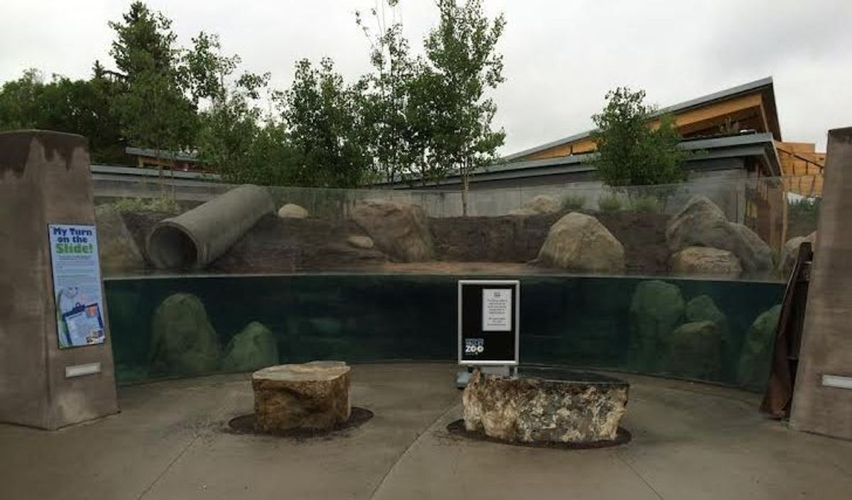 A River Runs Through It: the Wander Trail at Edmonton Valley Zoo
