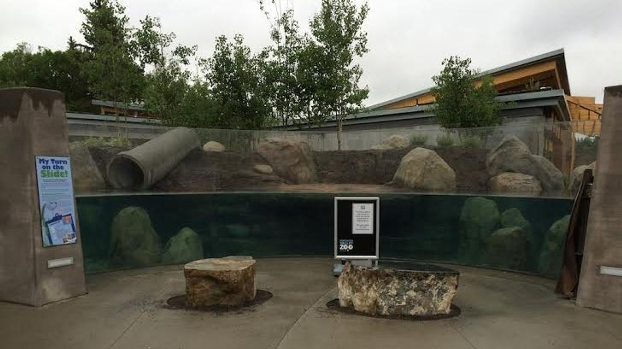 A River Runs Through It: the Wander Trail at Edmonton Valley Zoo