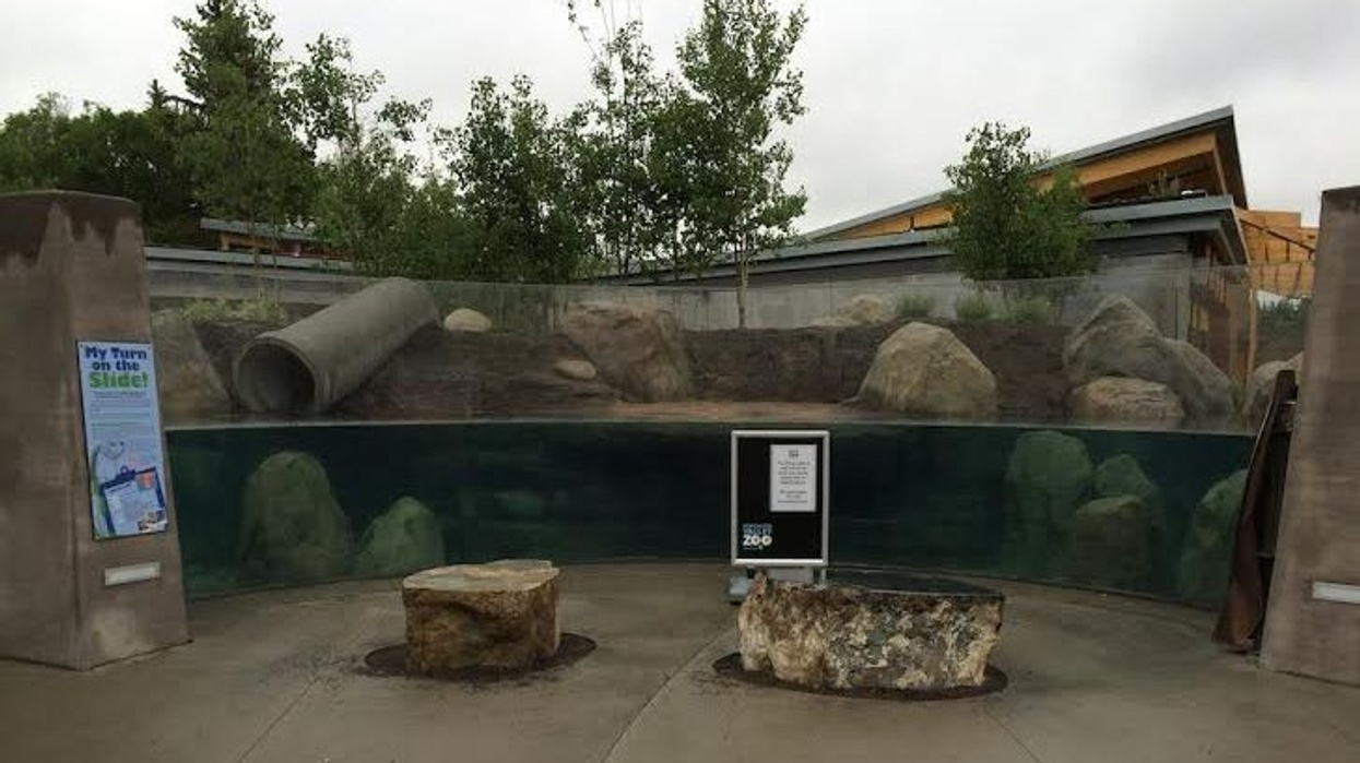 A River Runs Through It: the Wander Trail at Edmonton Valley Zoo