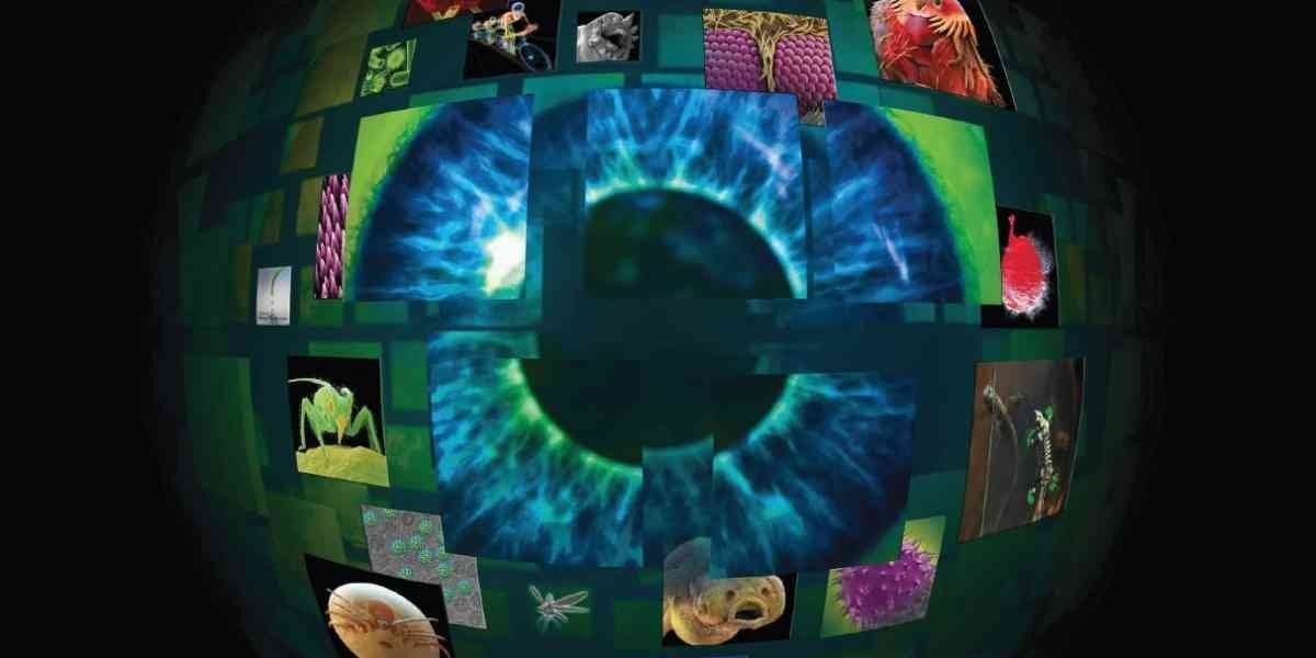 National Graphicsa Award-winning National Geographic Releases Gross Over $20 Million ...