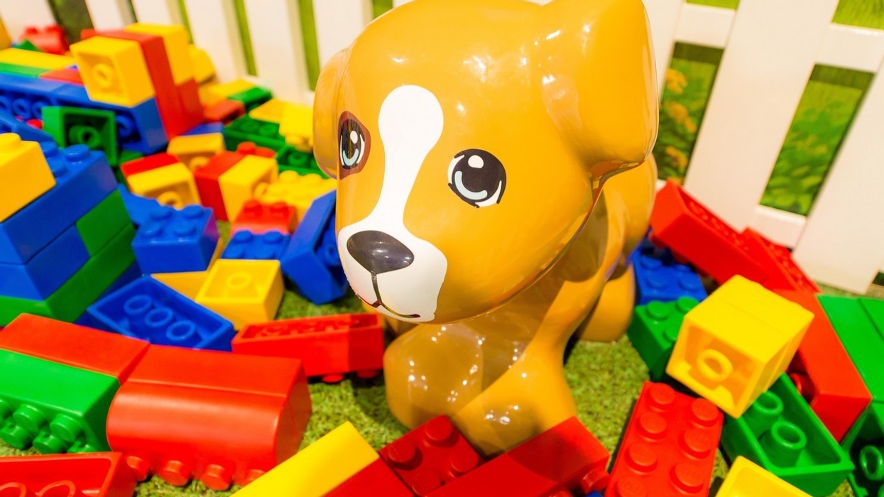 Scruffy Dog Provides Design and Build Expertise for New Heartlake City, LEGOLAND