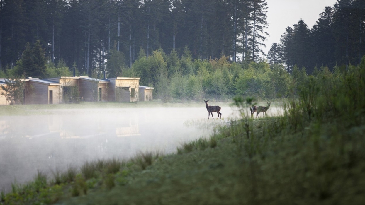 Pierre & Vacances/Center Parcs Create a Carnival of Animals