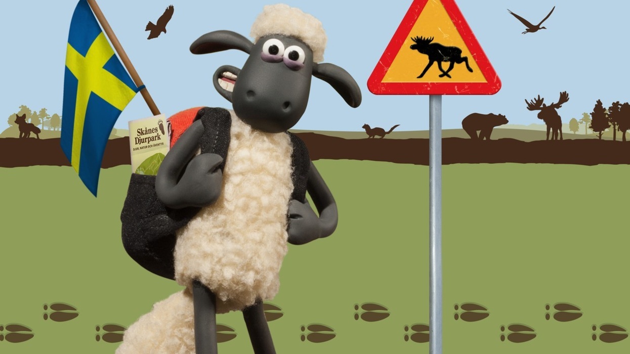Aardman Brings Shaun the Sheep Land to Skånes Djurpark, Sweden