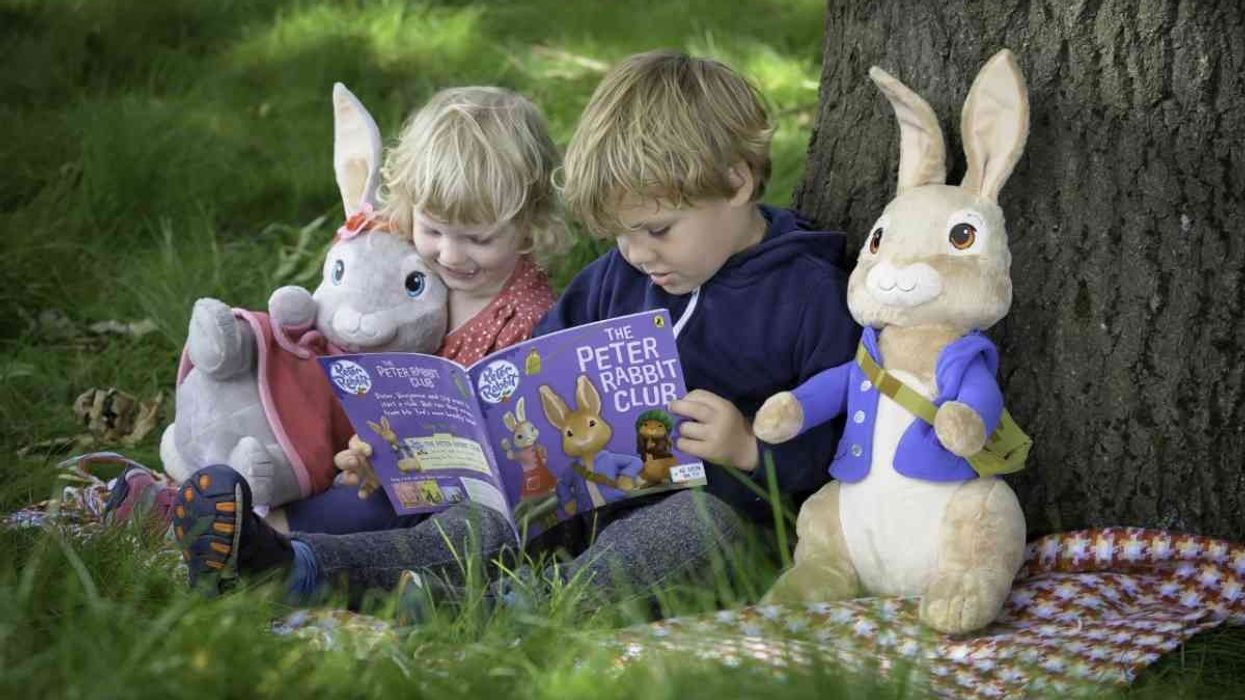 Lappset Creative Partners with Willows Activity Farm on £1m Peter Rabbit Adventure Playground