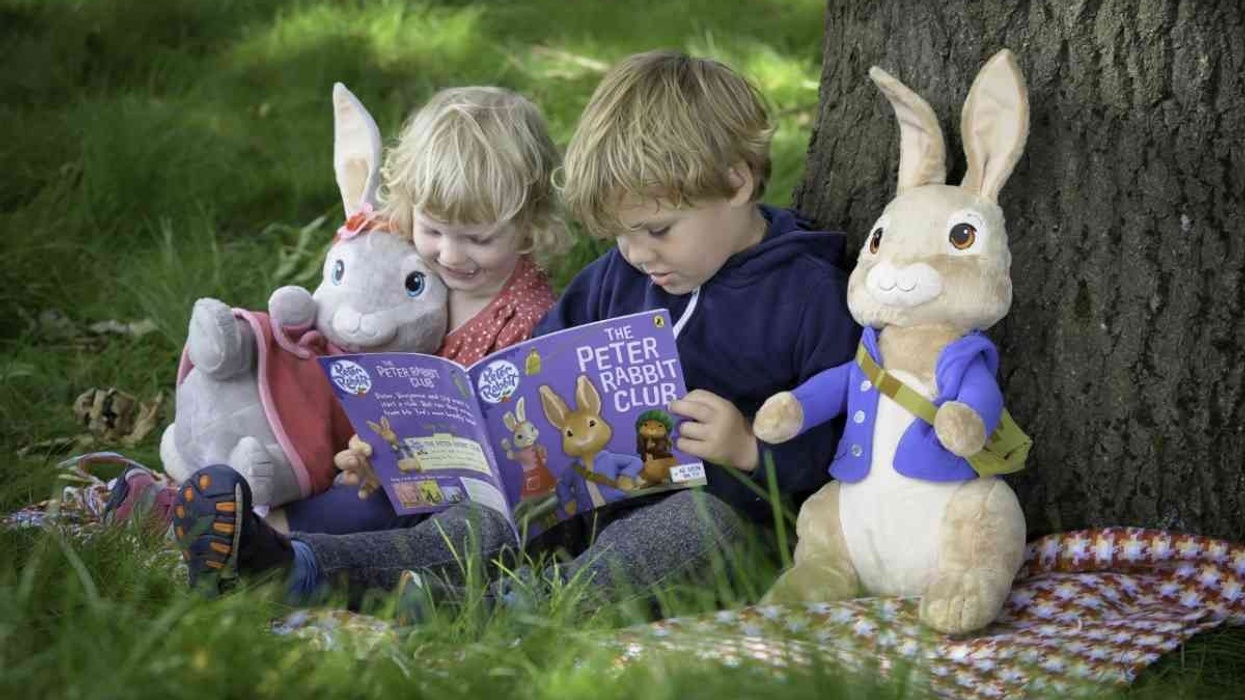 Lappset Creative Partners with Willows Activity Farm on £1m Peter Rabbit Adventure Playground