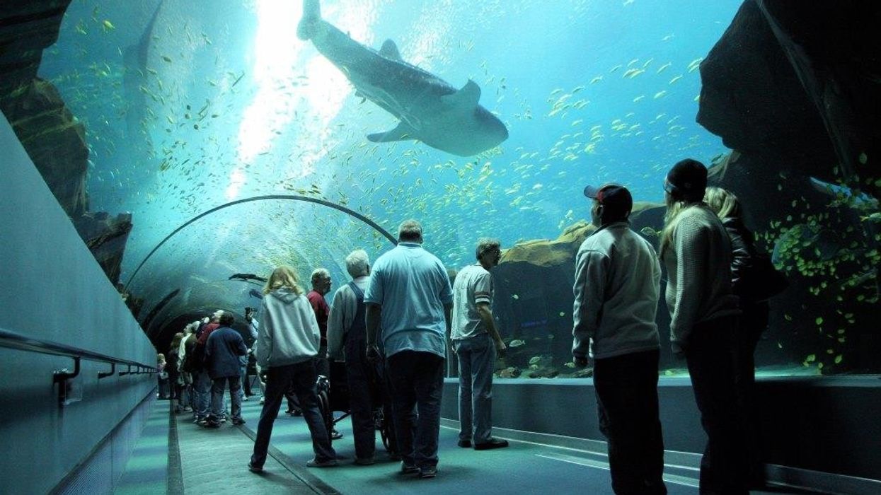 PGAV Destinations PC to Design New Mississippi Aquarium