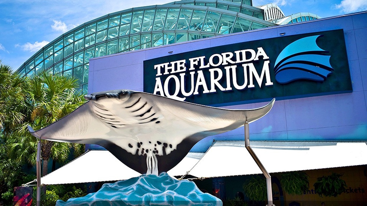 Amusement Advantage Partners the Florida Aquarium to Improve Guest Experience