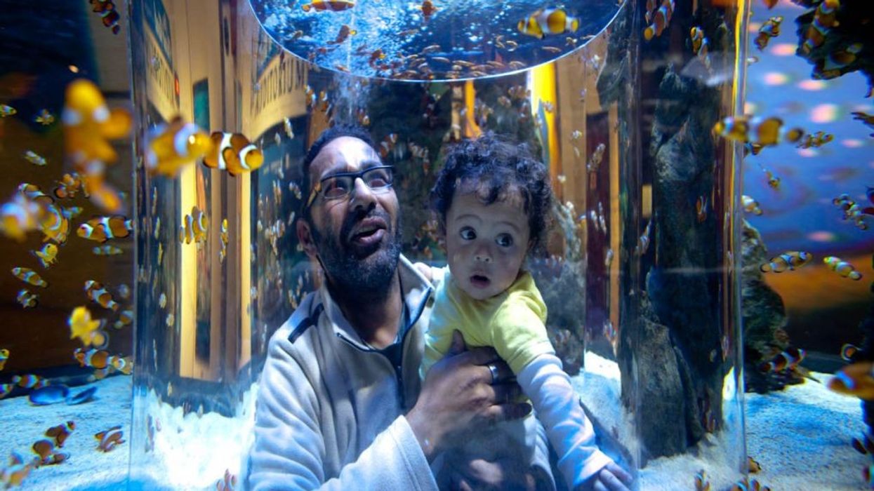 Two Oceans Aquarium Announces New CEO and Curator