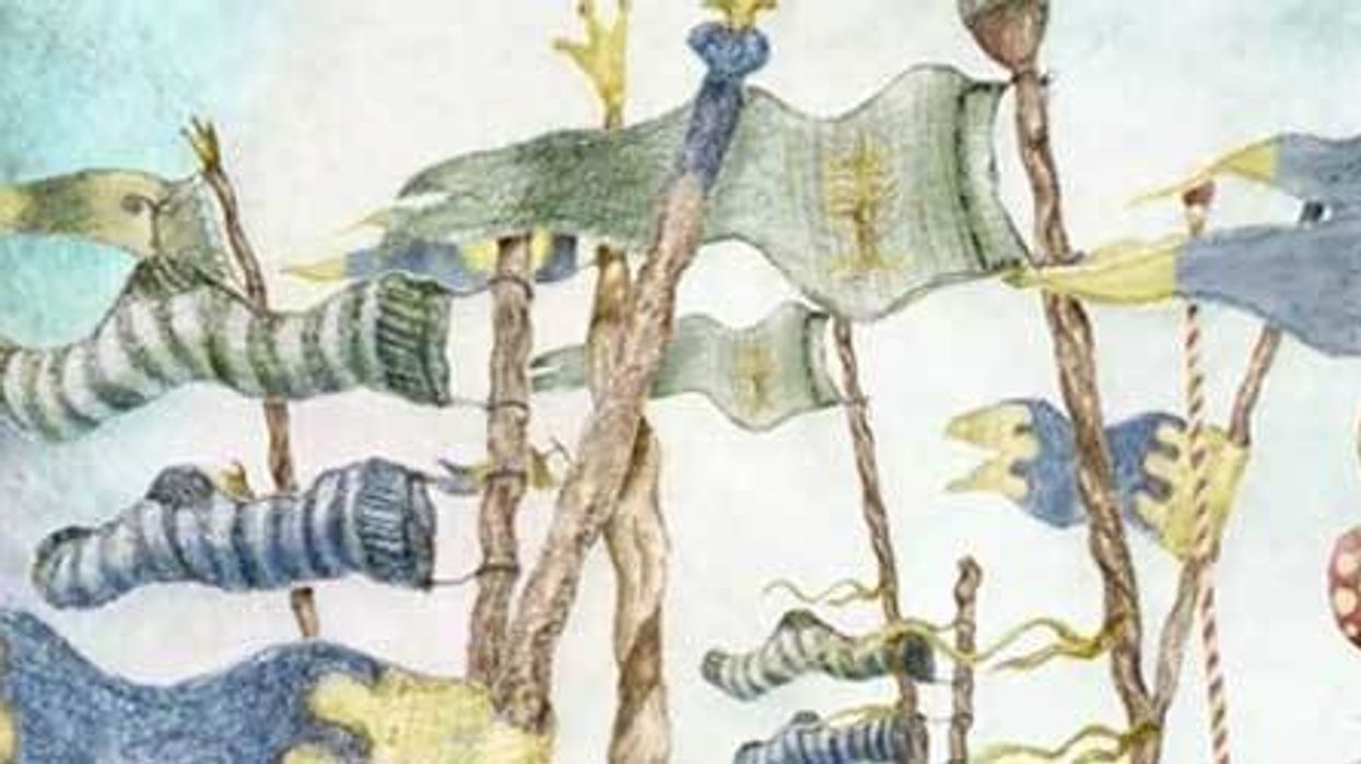 Timbalaya Outdoor Natural Play Experience Attracts Worldwide Interest