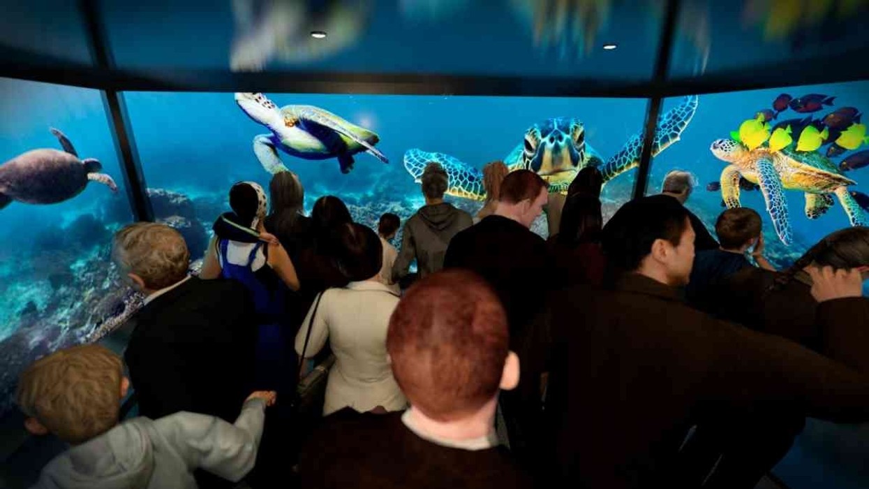 Attraktion! to Showcase Media Based Attraction Products at AAE 2016