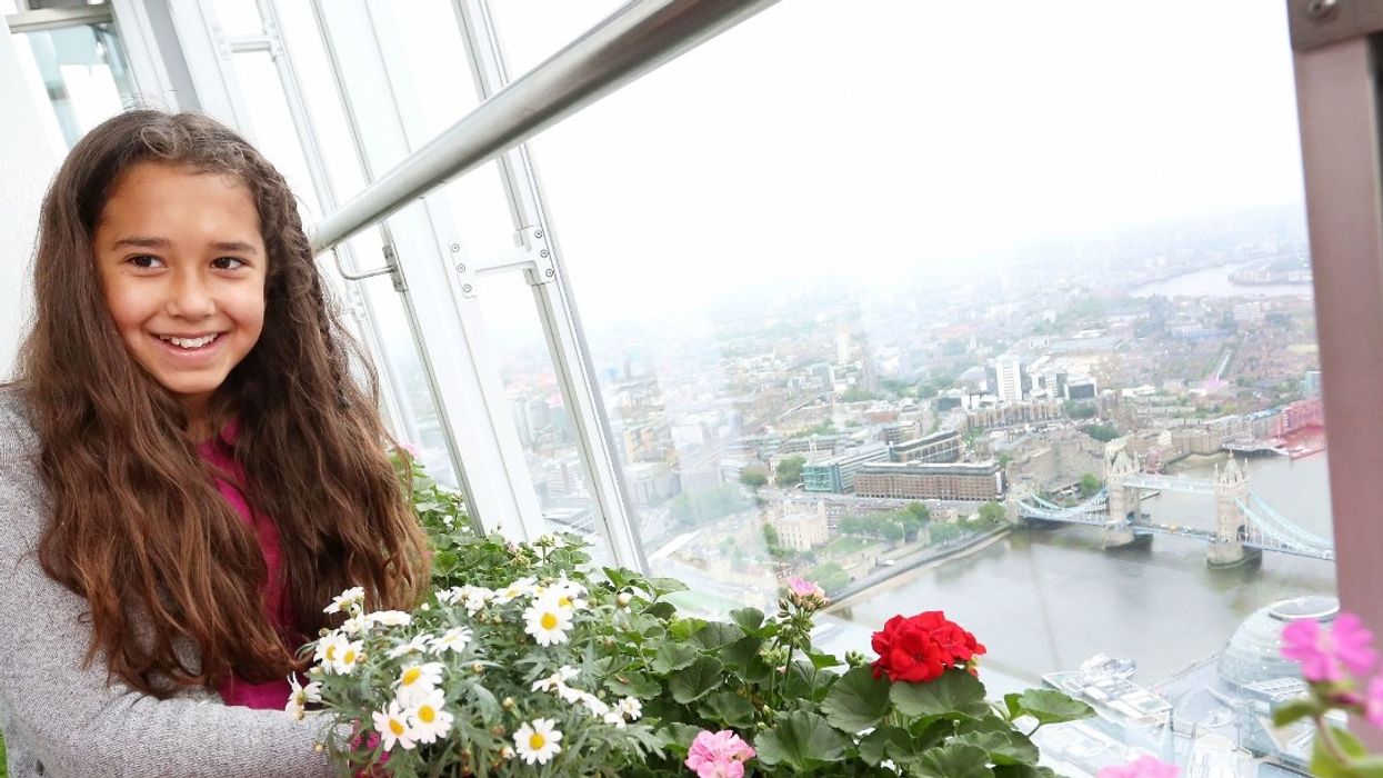 View From The Shard Unveils London's Highest Garden on the 72nd Floor