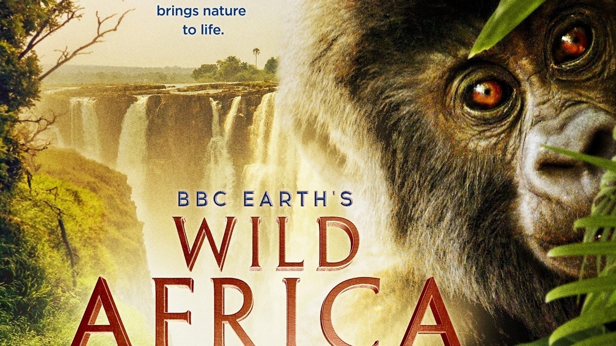 The Juice Films and Award-Winning Giant Screen Films Join Forces