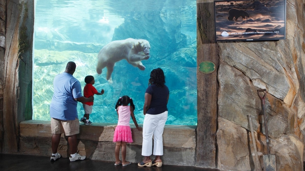PGAV Destinations-Designed 'Glacier Run' Celebrates 5 Years at Louisville Zoo
