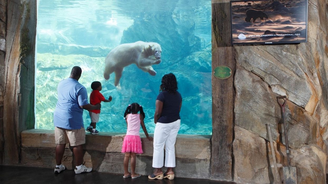 PGAV Destinations-Designed 'Glacier Run' Celebrates 5 Years at Louisville Zoo